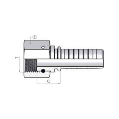 Femelle TG (BSP fond plat)