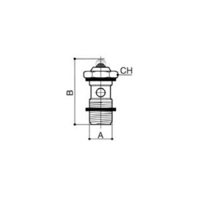 Vis simple pour banjo simple ou double, BSP cylindrique