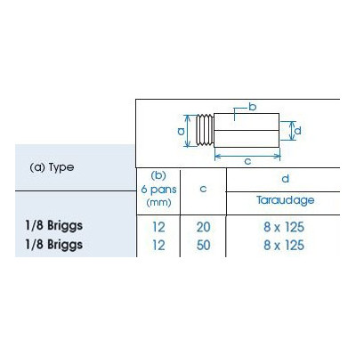 Allonge pour graisseur filetage Briggs