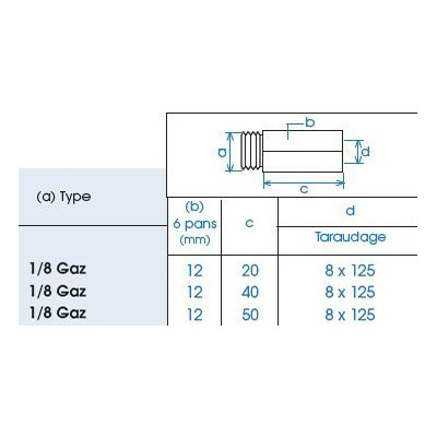 Allonges pour graisseur filetage Gaz