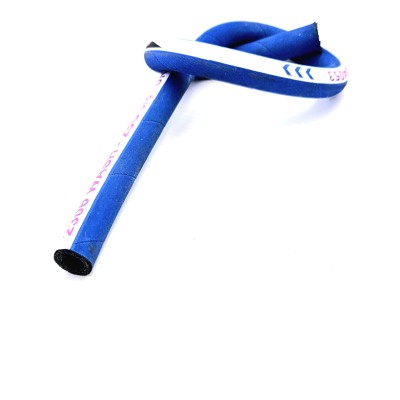 Tuyau de lavage pour nettoyeur haute pression 2SC Bleu toilée