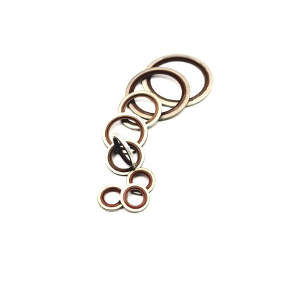 Bagues BS type BSP Viton Auto-cintreuses inoxydable