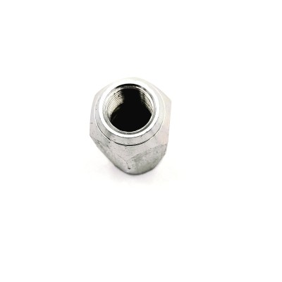 Jupe à visser pour tuyau flexible hydraulique 2SN