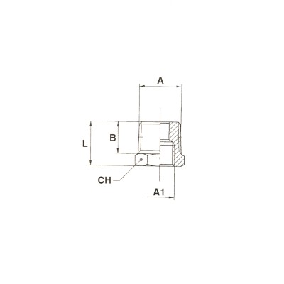 Raccord de réduction mâle femelle BSP conique laiton nickelé pneumatique