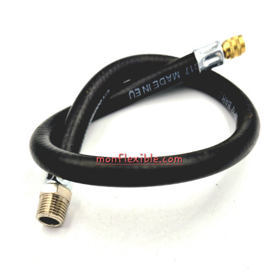 Flexible équipé rallonge de valve femelle et mâle BSP pneumatique