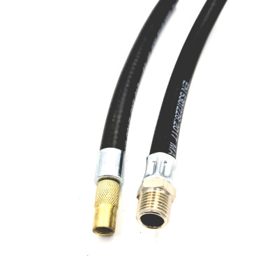 Flexible équipé rallonge de valve femelle et mâle BSP pneumatique