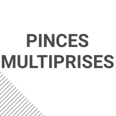 Pinces multiprises