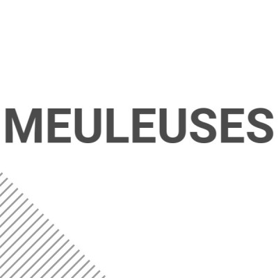 Meuleuses (outillage électroportatif)